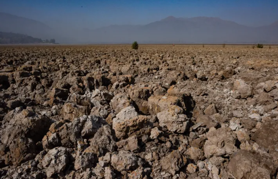 Χιλή: Ιστορική ξηρασία μετέτρεψε λίμνη σε έρημο με χιλιάδες νεκρά ψάρια