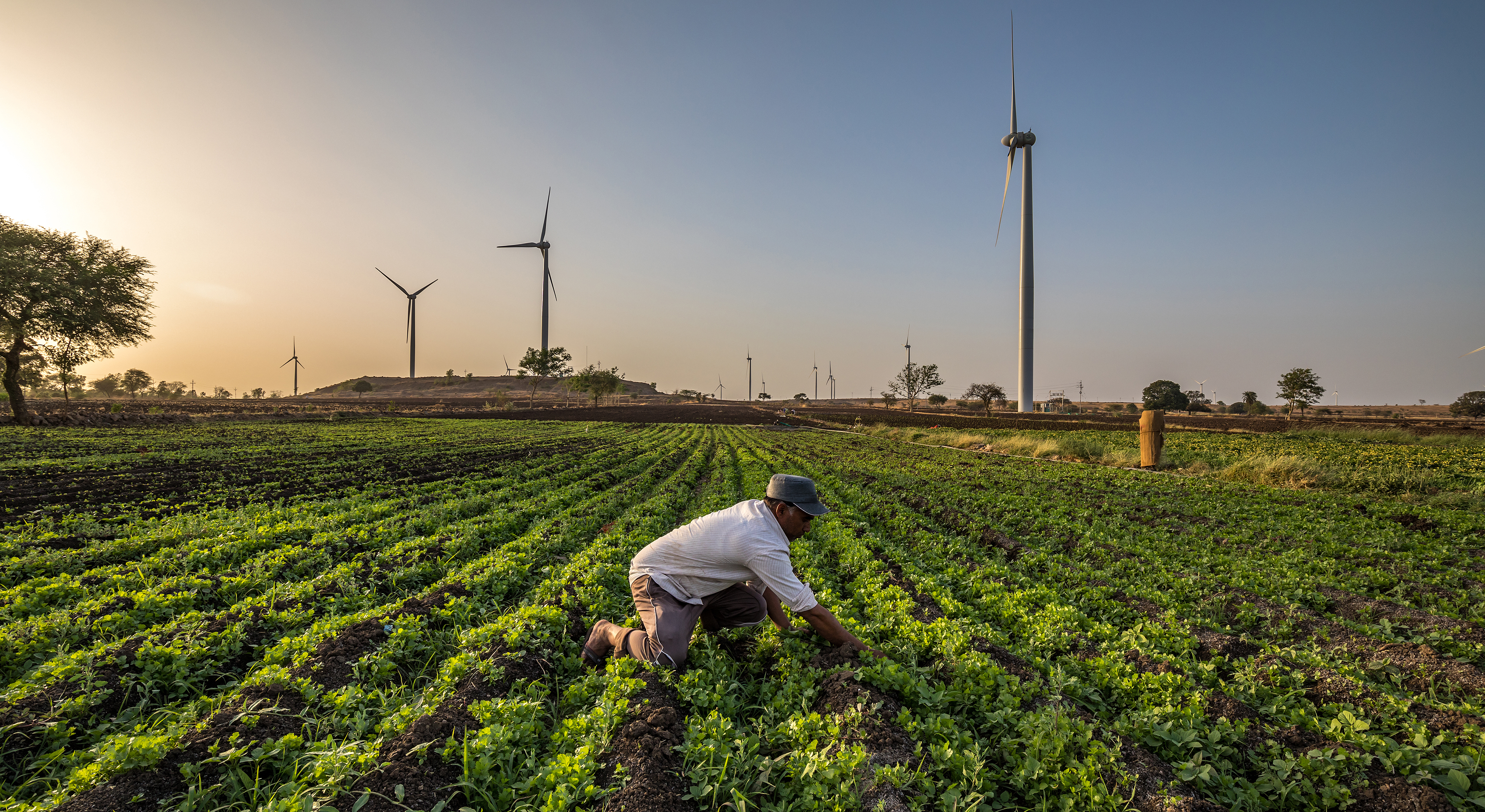 	 Wind Vision Photo Competition Winners Local Impact  “An Indian farmer working in his field next to a Wind turbine in Dhar. picture taken in Dhar district of Madhya Pradesh state of India.”